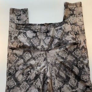 Evolution and Creation Legging